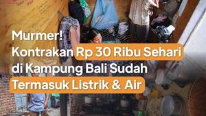 Video: Murmer! Kontrakan Rp 30 Ribu/Hari di Kampung Bali Termasuk Listrik & Air