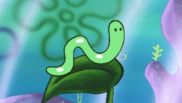 SpongeBob SquarePants SpongeBob SquarePants