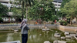 Menikmati Suasana Desa di Tengah Kota Jakarta