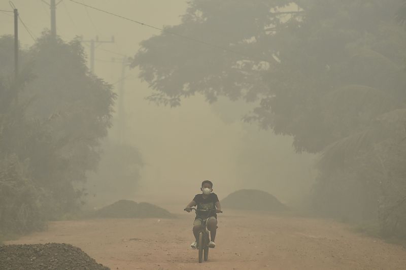 Pengendara melintasi Jembatan Berbak yang diselimuti asap kebakaran hutan dan lahan (karhutla) di Kelurahan Simpang, Berbak, Tanjung Jabung Timur, Jambi, Jumat (16/10/2026). Asap karhutla di beberapa kota/kabupaten Provinsi Jambi terpantau bertambah pekat dalam beberapa hari terakhir, terutama Kecamatan Berbak yang berdampingan langsung dengan sumber api Taman Nasional Berbak Sembilang (TNBS) dan Tahura Orang Kayo Hitam (OKH) dan berdasarkan pantauan stasiun Indeks Standar Pencemaran Udara (ISPU) kualitas udara di Tanjung Jabung Timur Jumat (16/10) mencapai angka 331 atau masuk kategori berbahaya. ANTARA FOTO/Wahdi Septiawan/sgd