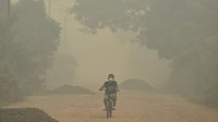 BMKG Sebut Asap Karhutla Sudah Sampai ke Atmosfer Jakarta, Banten, Jabar