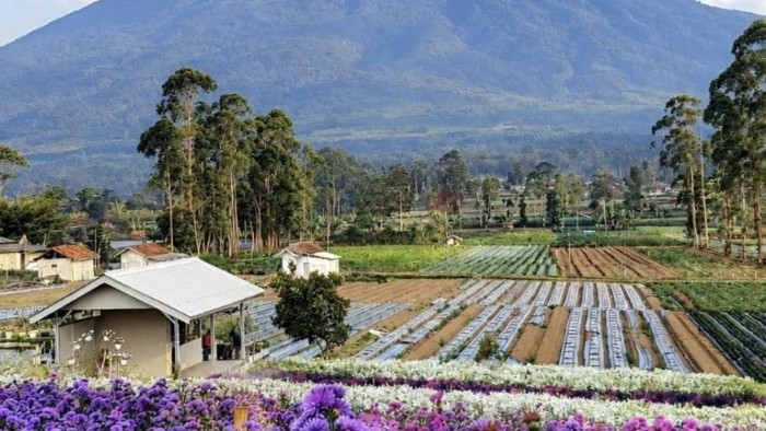 Bukit Hortensia Argalingga
