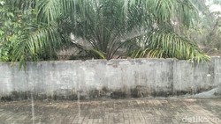 Warga Pangkalan Bun Sambut Hujan, BMKG Imbau Tetap Waspada-Pakai Masker