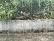 Warga Pangkalan Bun Sambut Hujan, BMKG Imbau Tetap Waspada-Pakai Masker