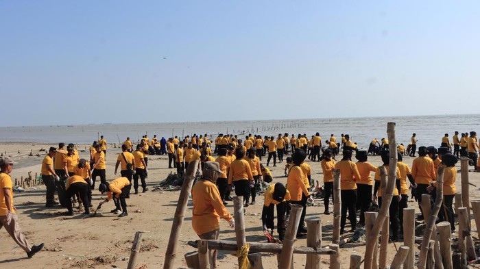 Kapolresta Tuban Kombes Pol Jazuli Dani Iriawan memimpin kegiatan green policing penanaman pohon mangrove dan bersih-bersih pantai. Kapolresta Tuban Kombes Pol Jazuli Dani Iriawan memimpin kegiatan green policing penanaman pohon mangrove dan bersih-bersih pantai.