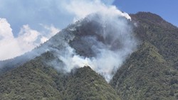 Sehari Ada 3 Titik Kebakaran Hutan di Malang-Kota Batu