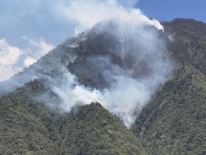 Sehari Ada 3 Titik Kebakaran Hutan di Malang-Kota Batu