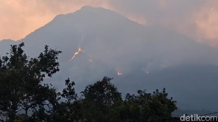 Kebakaran Gunung Arjuno-Welirang