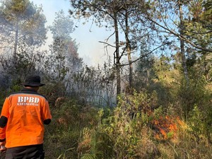 Kebakaran Lereng Lawu Capai 490 Hektare, Pipa Air Warga Terancam