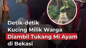 Video: Aksi Tukang Mi Ayam di Bekasi Ambil Kucing Lalu Masukkan ke Laci