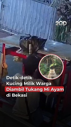 Video: Aksi Tukang Mi Ayam di Bekasi Ambil Kucing Lalu Masukkan ke Laci