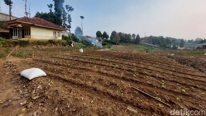 Lahan pertanian dan perkebunan di kaki Gunung Burangrang