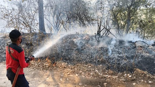 Petugas memadamkan api dalam kebakaran lahan di Desa Baturinggit, Kecamatan Kubu, Karangasem, Jumat (16/10/2026).