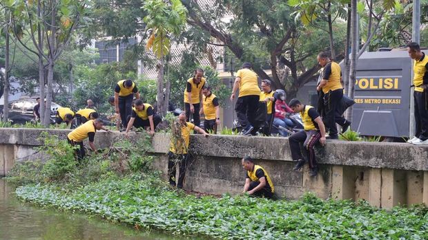 Polres Metro Bekasi Kota turun ke Kali Baru membersihkan eceng gondok, dukung Green Policing, Jumat (16/10/2026).