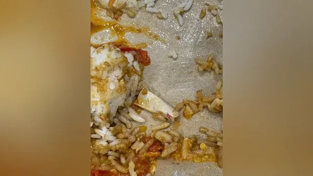Jijik! Ada Puntung Rokok di Pesanan Ayam Gepuk yang Hampir Habis