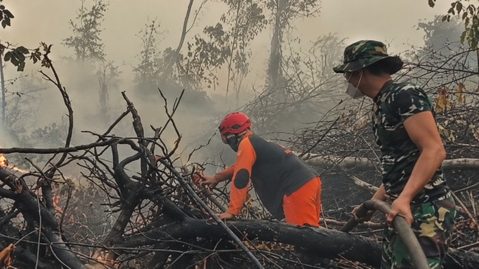 Satgas Karhutla upayakan padamkan dan pendinginan di lahan Tahura