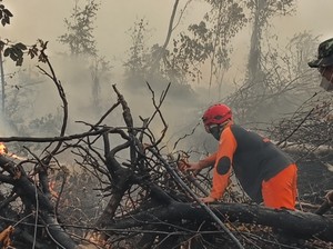 Dua Perusahaan di Jambi Disanksi Administratif
