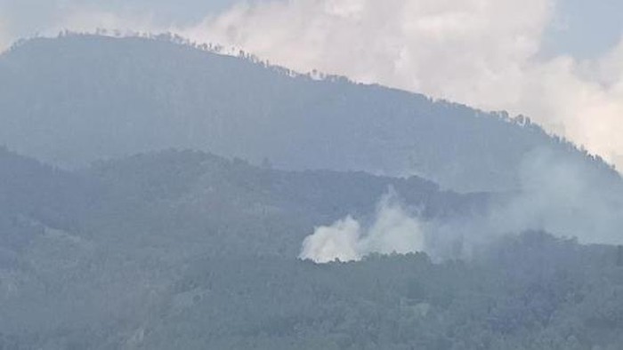 Tangkapan layar video kebakaran hutan di kawasan Desa Pandesari, Kecamatan Pujon, Malang.