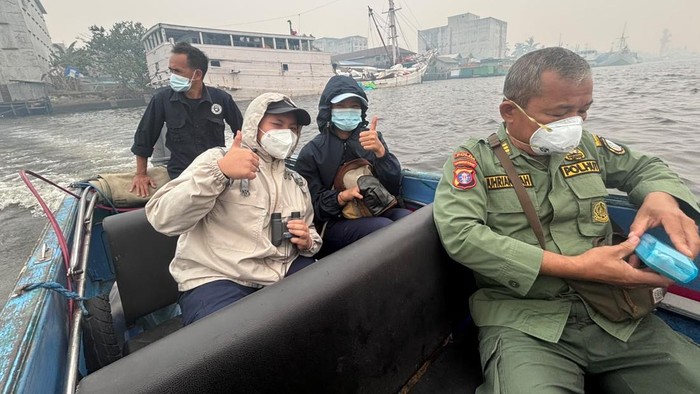 Misteri Bangkai Orang Utan Mengambang di Sungai Kumai Belum Terpecahkan (2)