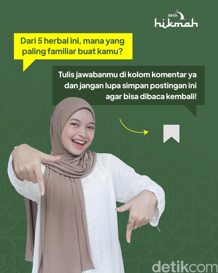 5 Herbal Ala Rasulullah yang Perlu Kamu Ketahui 5 Herbal Ala Rasulullah yang Perlu Kamu Ketahui