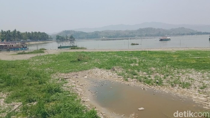 Air rawa Jombor di Bayat, Klaten mulai surut sehingga pulau kecil bermunculan.