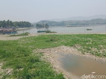 Curhat Pengelola Perahu Wisata Terpaksa Setop gegara Rawa Jombor Surut