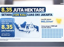 Sejak 2015-2026, Area Karhutla di Indonesia Sudah 126 Kali Luas Jakarta