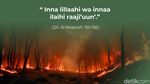 Hutan Terbakar Asap Mengepung, Benarkah ini Murni Ujian Tuhan?