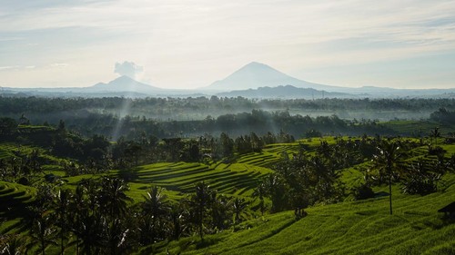 Kunjungan wisatawan ke DTW Jatiluwih, Tabanan turun sebanyak 30 persen imbas kelangkaan BBM. /instagram @jatiluwihdestination