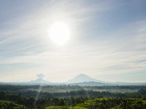 Kunjungan Wisatawan ke Jatiluwih Turun 30 Persen