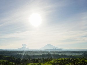 Kunjungan Wisatawan ke Jatiluwih Turun 30 Persen