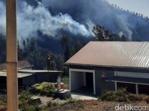 Kondisi Terkini Karhutla Bromo yang Renggut 4 Nyawa Petugas-Relawan