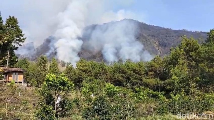 Karhutla di Gunung Arjuna-Welirang