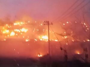 Kebun Dekat TPA Parepare Terbakar Hebat, Api Belum Padam