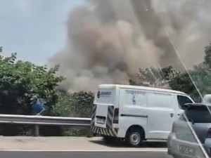 Lahan 2 Hektare Dekat Tol Jagorawi Terbakar, Api Sudah Padam