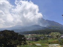 BPBD Minta Water Bombing untuk Padamkan Kebakaran Hutan Lereng Lawu