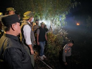 Pantau Karhutla di Sampit, Menhut Pesan Pemda Manfaatkan Banpres Rp 15 M