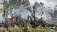 Ketika Selebritas Merasa Malu Ada di Negara Tetangga karena Kabut Asap Karhutla