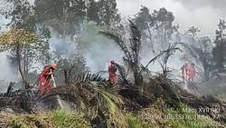 Ketika Selebritas Merasa Malu Ada di Negara Tetangga karena Kabut Asap Karhutla