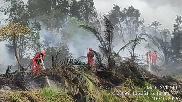 Pemadaman karhutla oleh personel Manggala Agni di wilayah OKI.