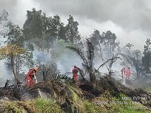 Sebulan Lebih Karhutla di Banyuasin-OKI, Luas Lahan Terbakar Ratusan Hektare