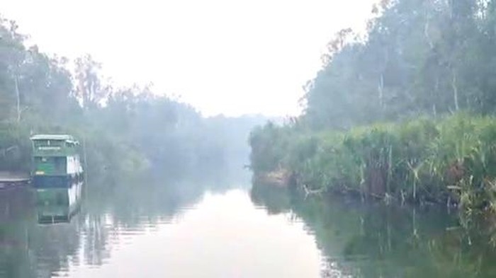 Suasana kawasan TNTP pada Sabtu (17/10/2026) masih berkabut asap dan belum diguyur hujan. (Istimewa/Dok Moncos)
