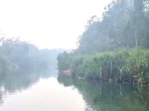 Hujan Mulai Guyur Kobar, Tapi Belum Sampai Kawasan Tanjung Puting
