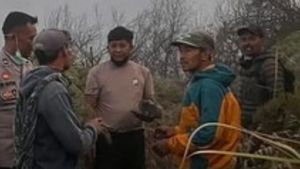 Video: 2 Staf Artotel Meninggal dalam Karhutla Bromo