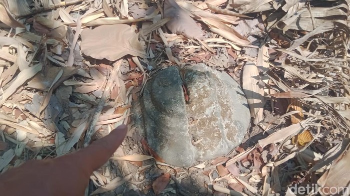 Penampakan batuan yang ada di Gumuk Candi, Desa Jogosetran, Kalikotes, Klaten, Minggu (18/10/2026).