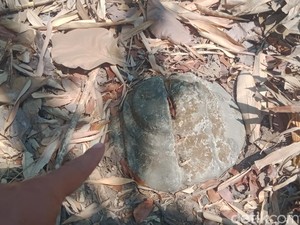 Kisah Gumuk Candi di Jogosetran Klaten, Diduga Puing Catra