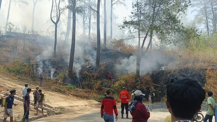 Karhutla di kawasan hutan pinus Malino Gowa.