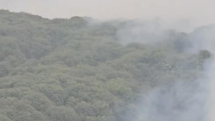 Kawasan TN Berbak Tanjabtim Jambi yang masih terbakar