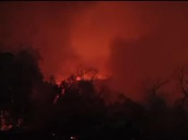 Daftar 7 Gunung yang Terbakar di Indonesia, Lawu-Bromo