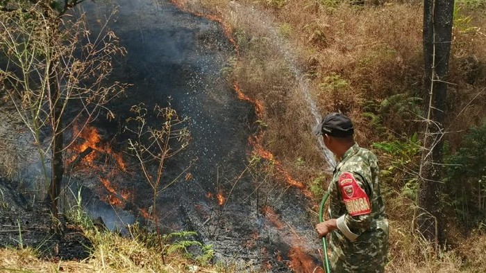 Kebakaran di kawasan hutan pinus Malino Gowa.